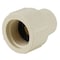Apollo Apollo Schedule 40 1/2 in. Slip in to X 1/2 in. D FNPT CPVC Female Adapter 10 pk CPVCFA12W10PK - alternate 2